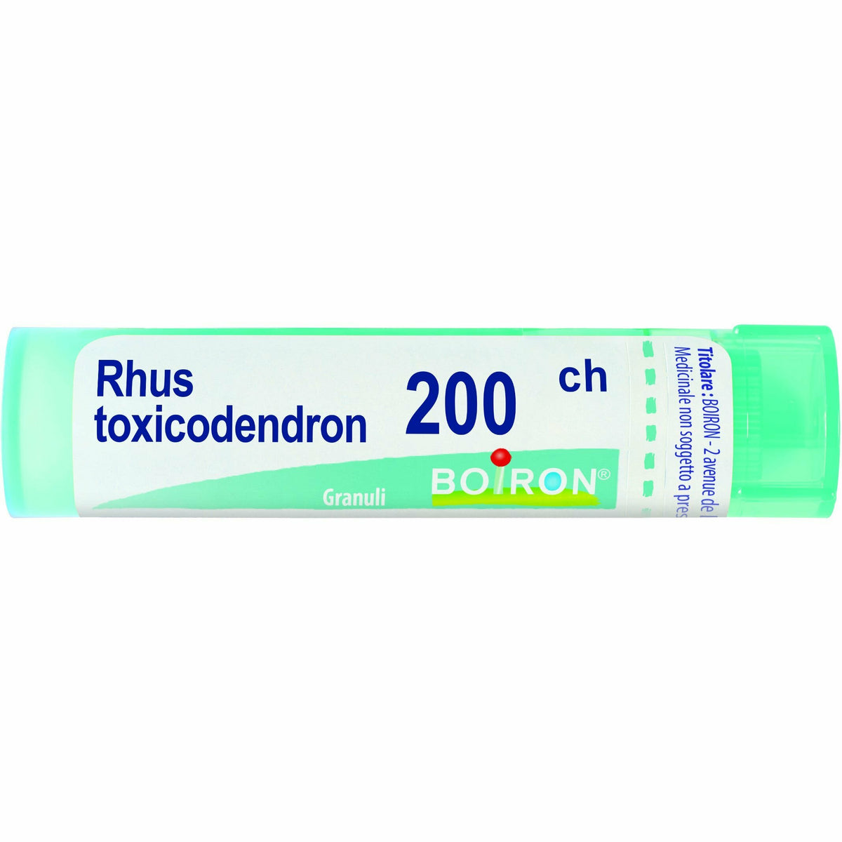 Rhus toxicodendron 200ch 80gr