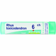 Rhus toxicodendron 6ch 80gr 4g