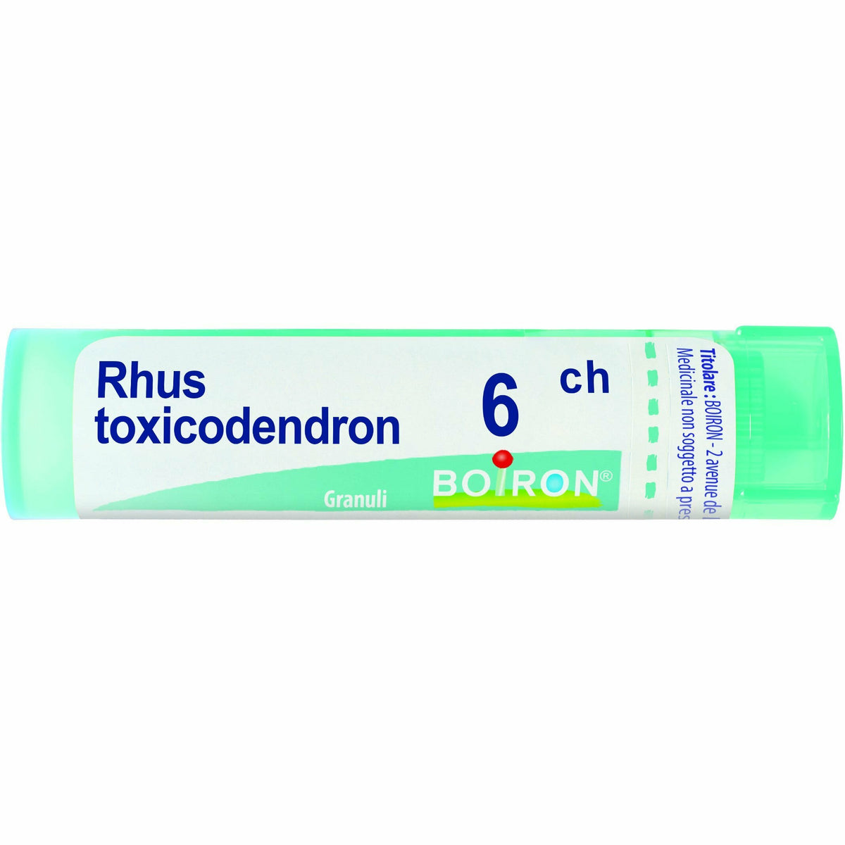 Rhus toxicodendron 6ch 80gr 4g