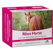 Ribes horse 30 bustine
