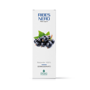 Ribes nero gd 100ml