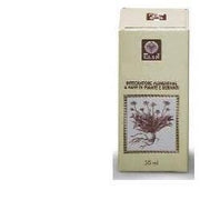 Ribes nero gemme 50ml
