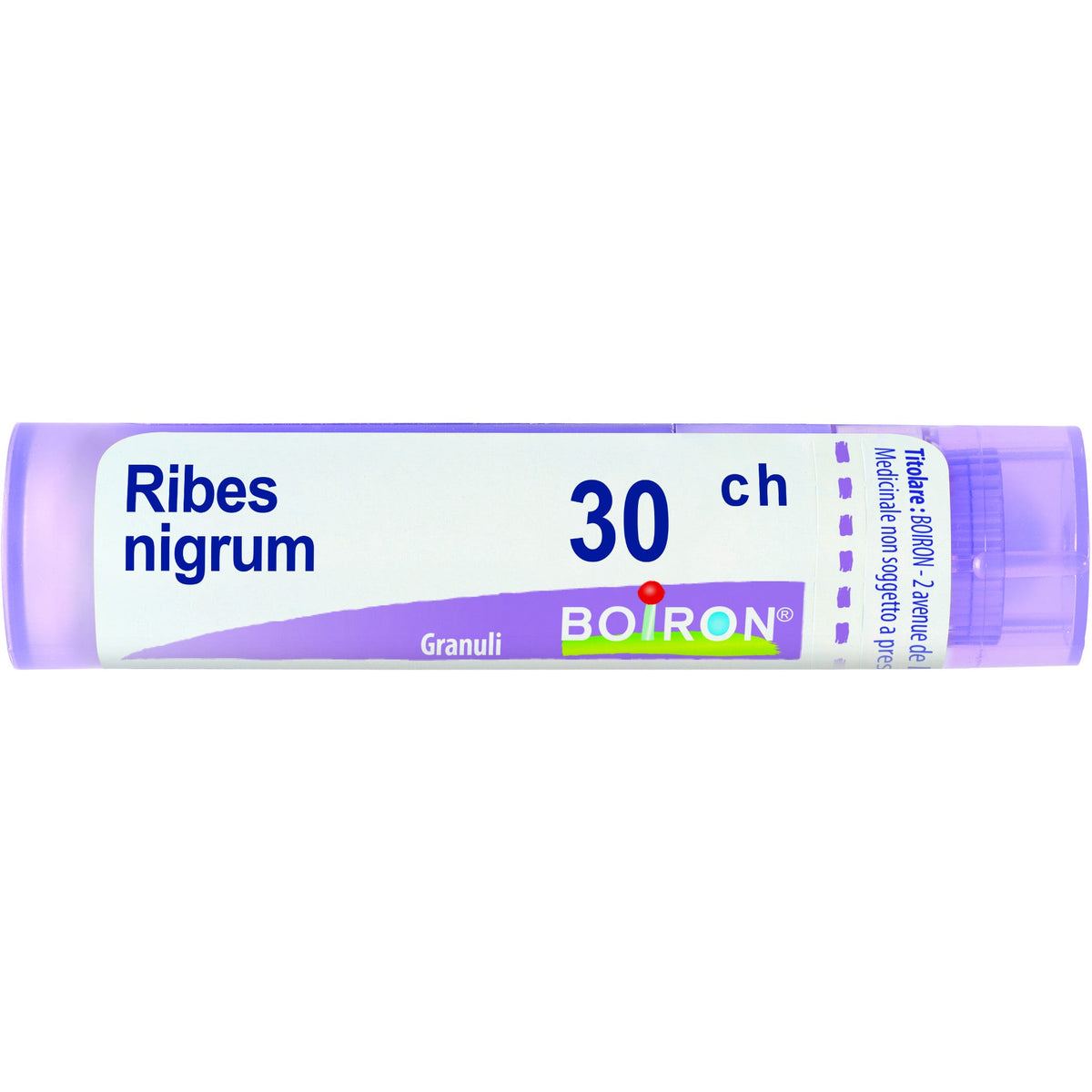 Ribes nigrum 30ch gr