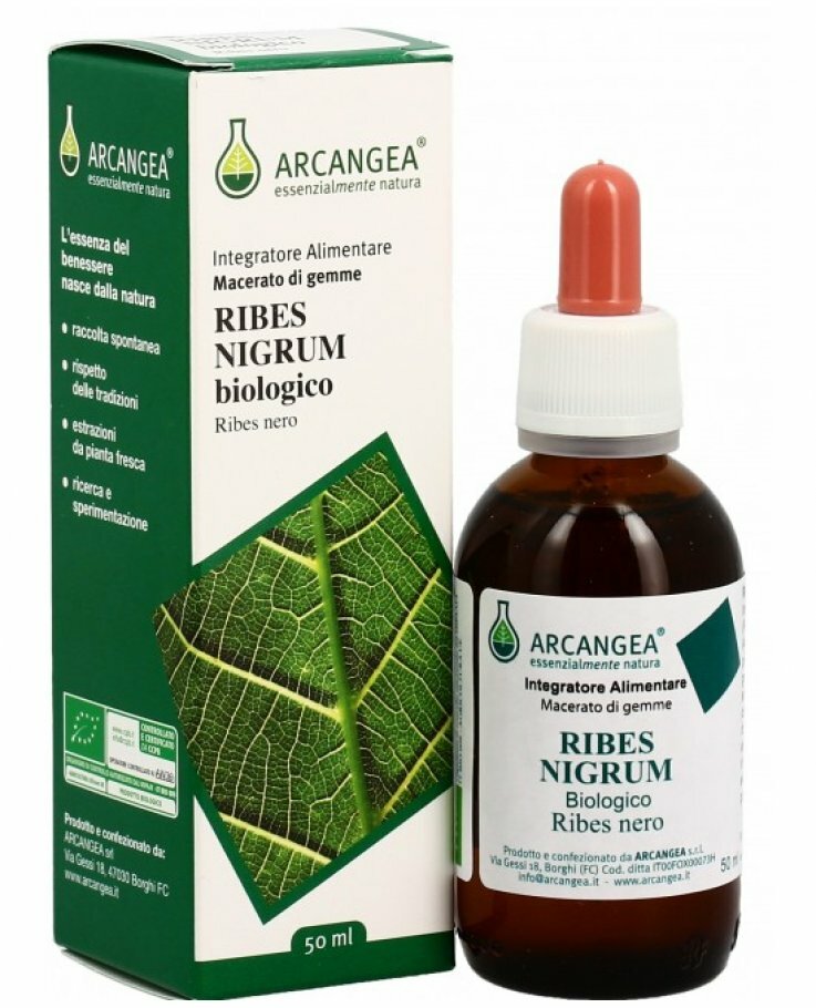 Ribes nigrum gd 33 bio 100ml