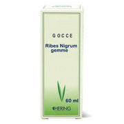 Ribes nigrum gemme 60ml mg