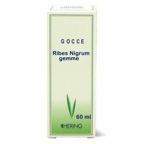 Ribes nigrum gemme 60ml mg