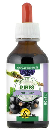 Ribes nigrum gemmoderiv 100ml