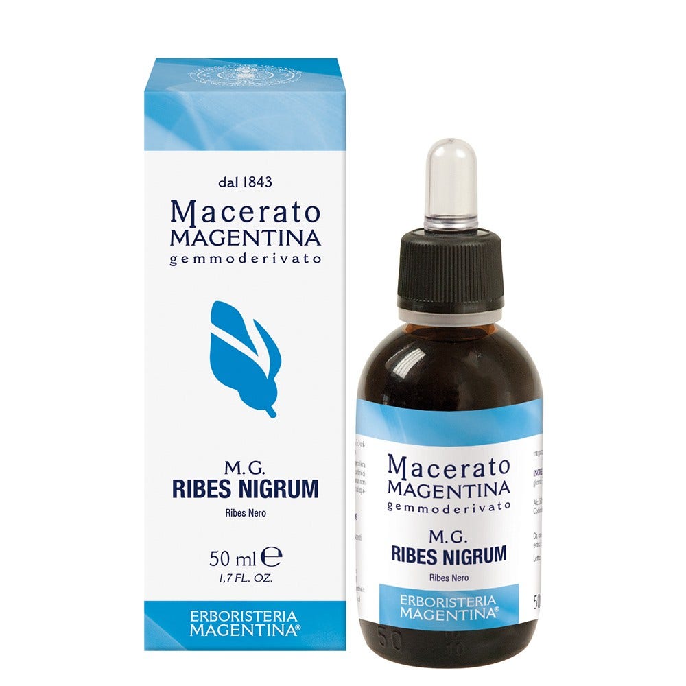 Ribes nigrum macerato mage50ml