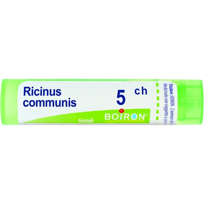 Ricinus communis 5ch 80gr 4g