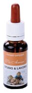 Rimedio studio 20ml vis animi