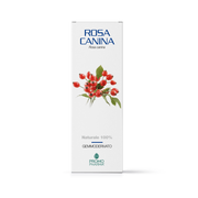Rosa canina gemmod 100ml