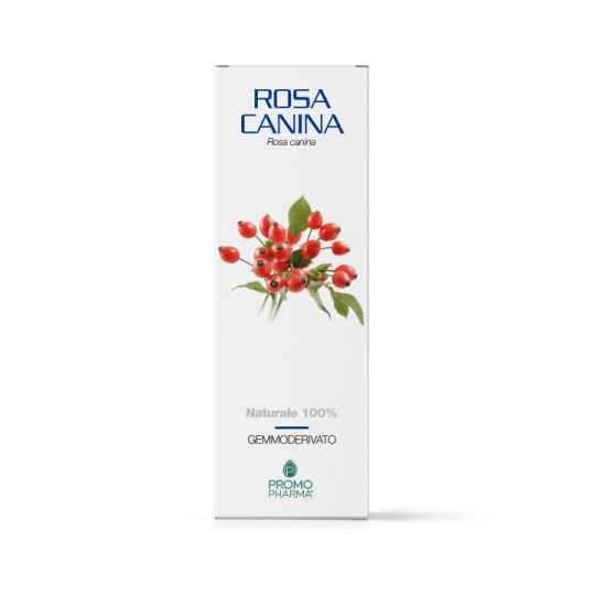 Rosa canina gemmod 100ml