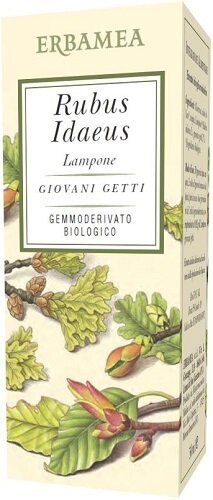 Rubus idaeus lampone bio 50 ml