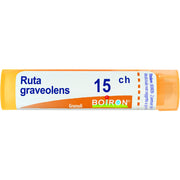 Ruta grav boi 15ch 80gr 4g