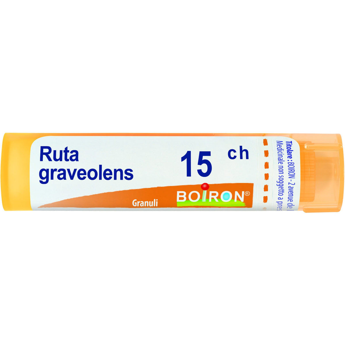 Ruta grav boi 15ch 80gr 4g