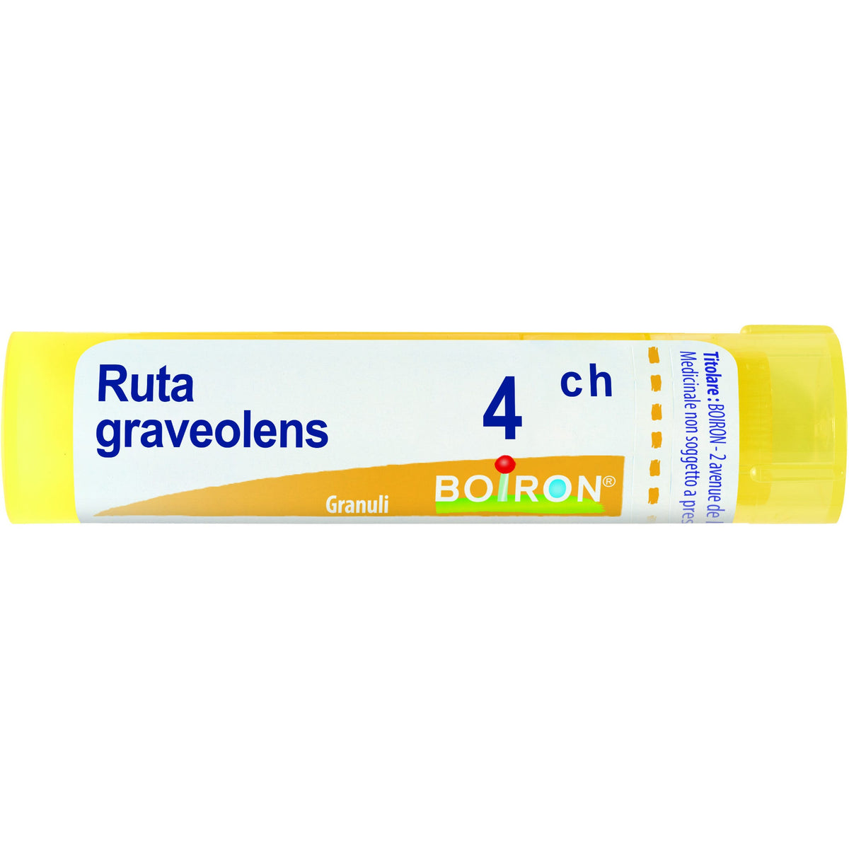 Ruta grav boi 4ch 80gr 4g