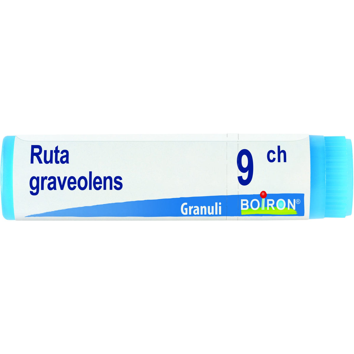 Ruta grav boi 9ch gl 1g