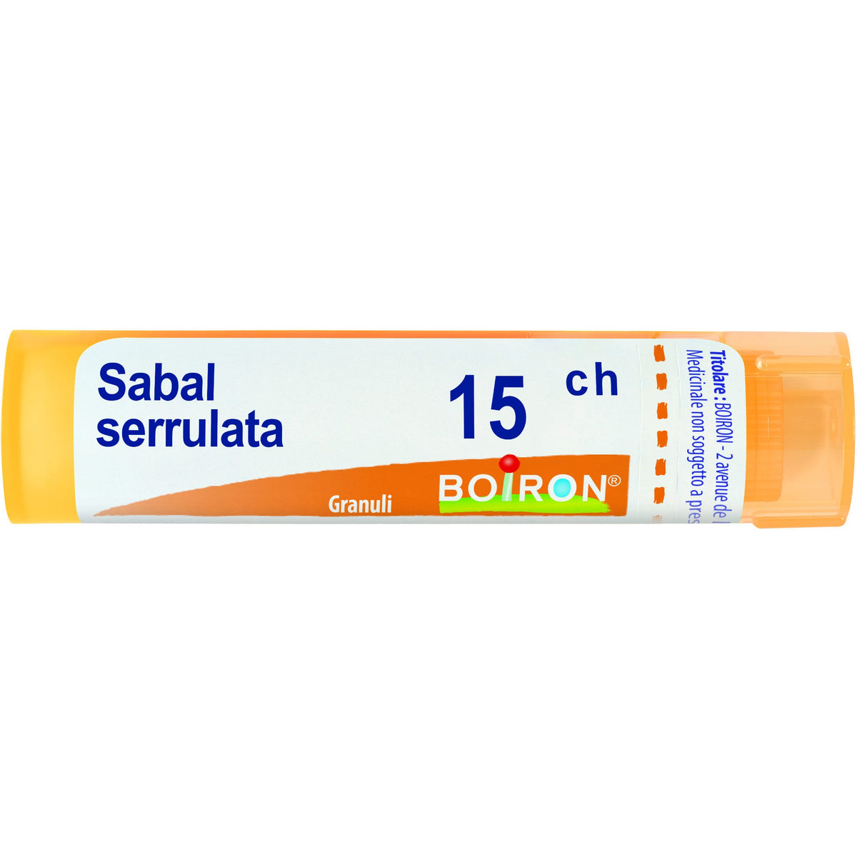 Sabal serrulata 15ch gr