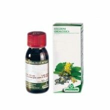 Salice 74 50ml tintura madre