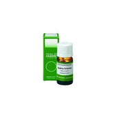 Salvia off oe 10ml