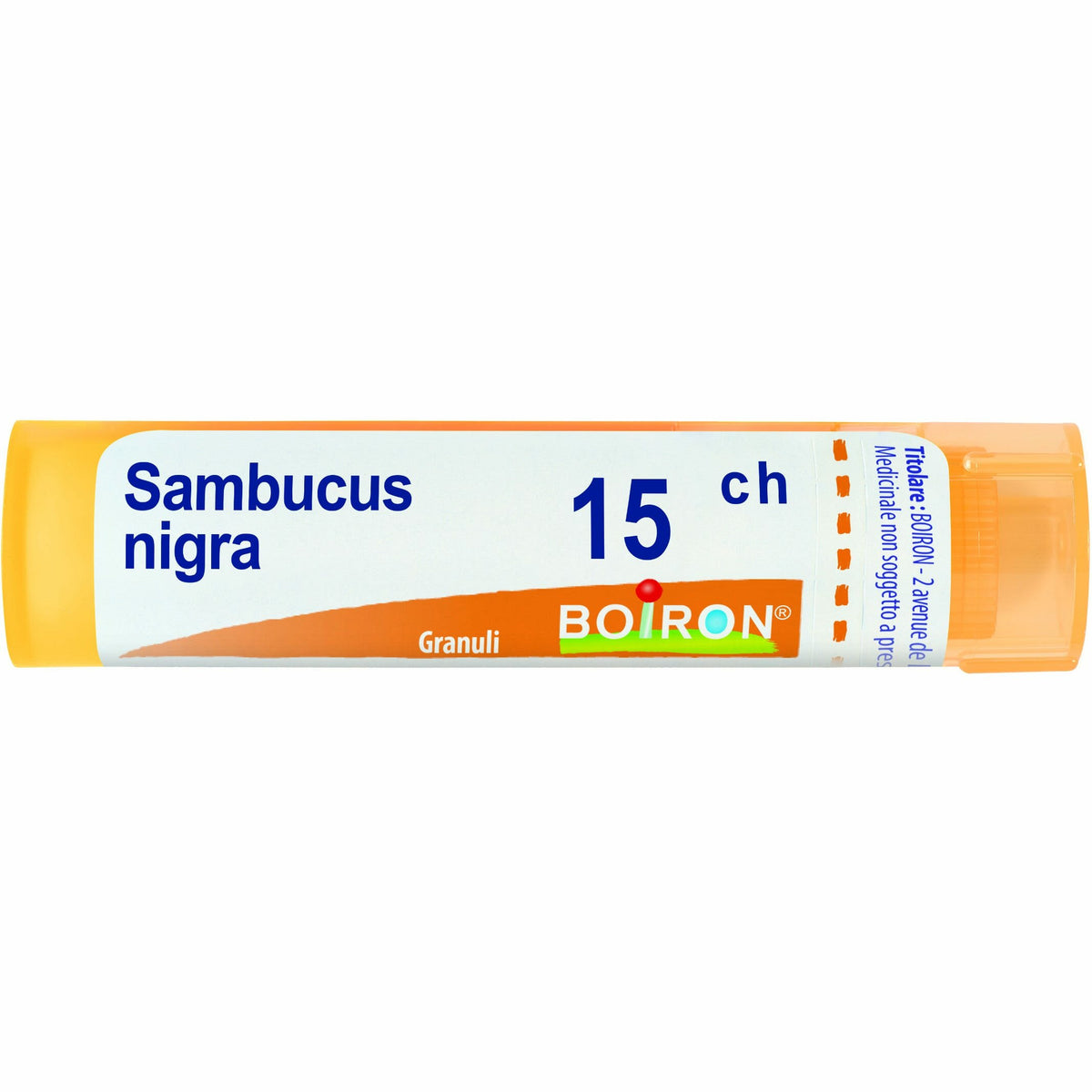 SAMBUCUS NIGRA*15CH 80GR 4G