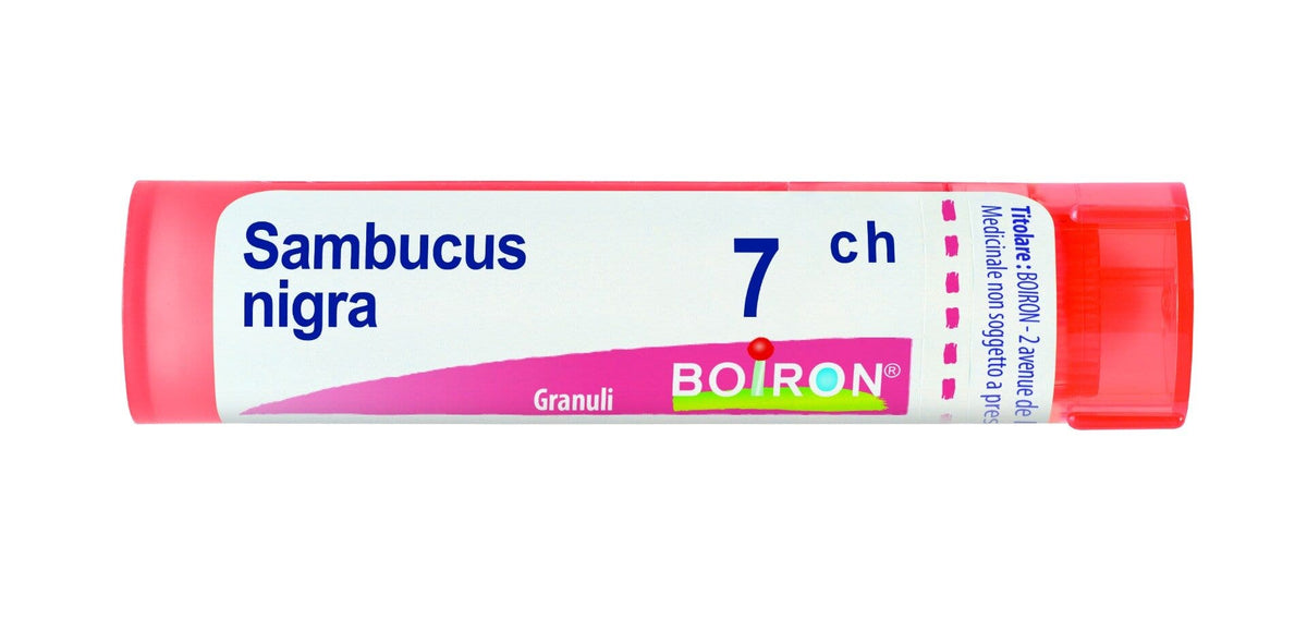 Sambucus nigra 7ch 80gr 4g