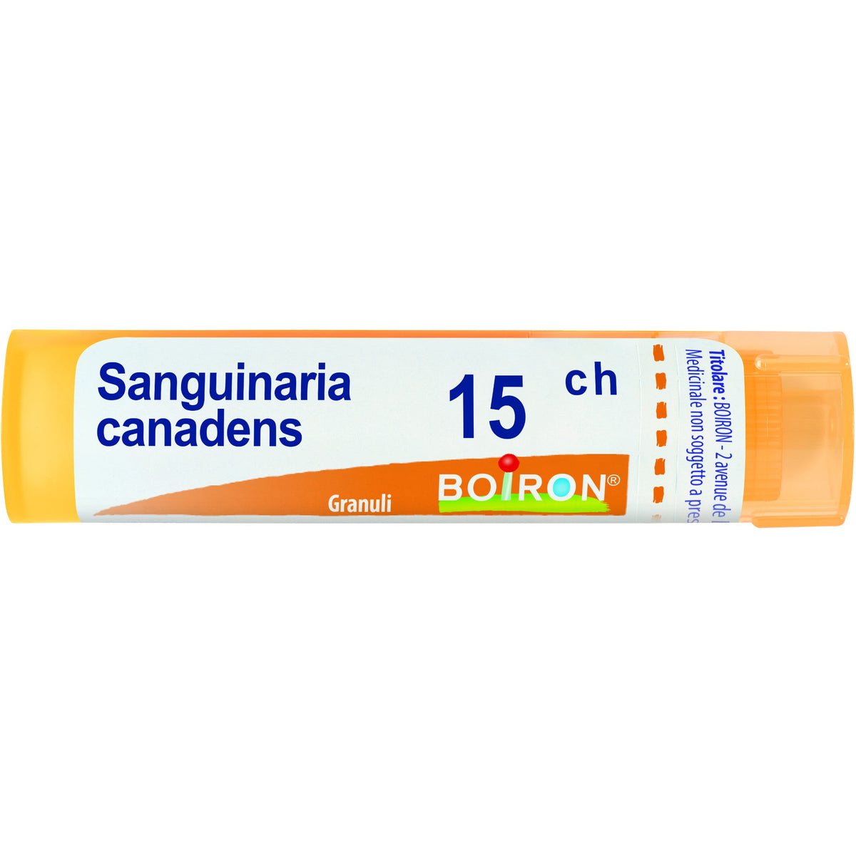Sanguinaria c boi 15ch 80gr 4g