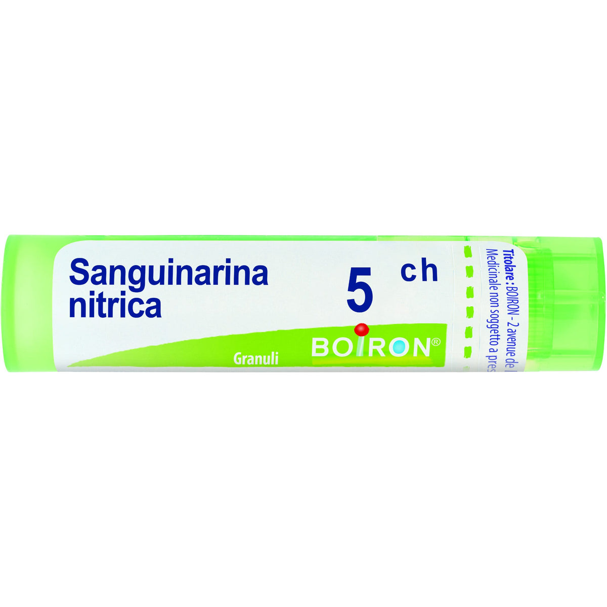 Sanguinaria nitrica 5ch gr