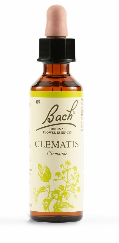 Schwabe Fiori di Bach 09 Clematis Gocce 20 ml