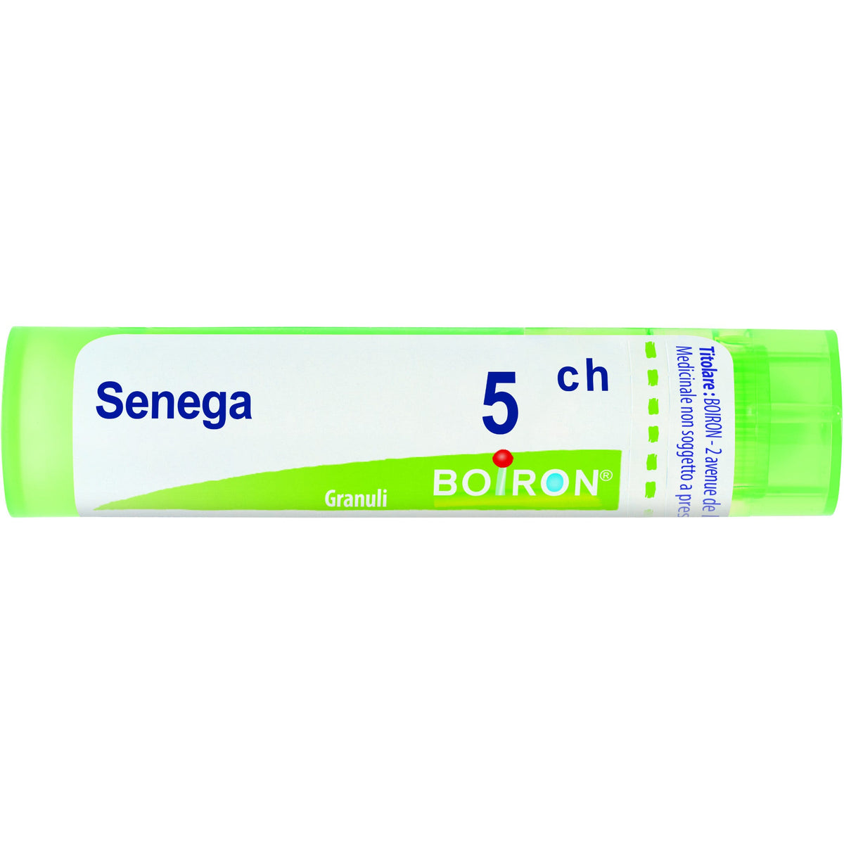 Senega boi 5ch 80gr 4g