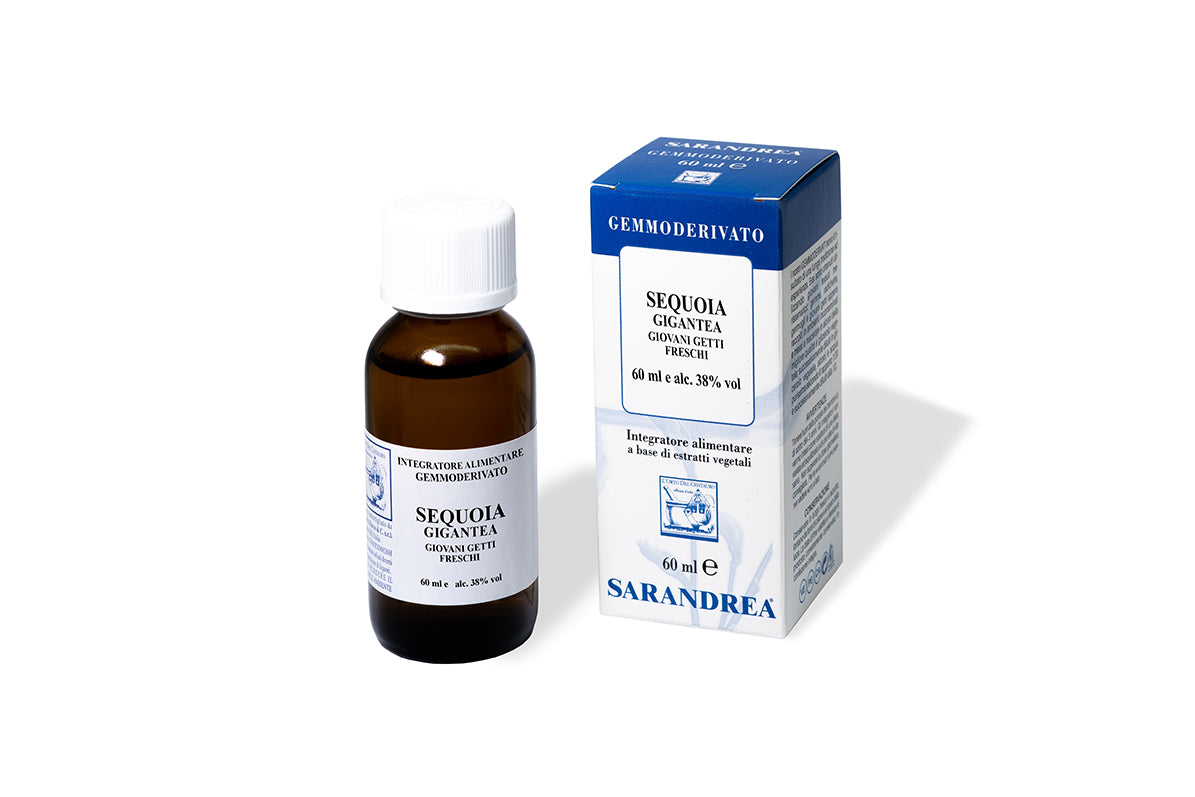 Sequoia gigantea 100 ml macerato glicerico
