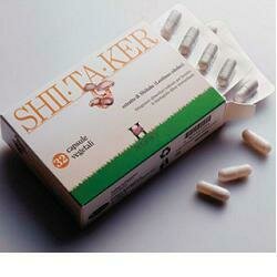 Shiitaker holistica 32 capsule