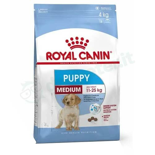 Shn medium puppy 4kg