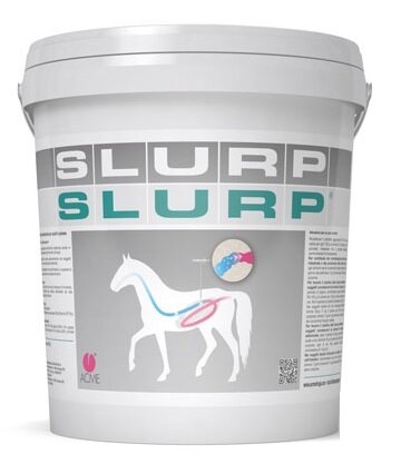 Slurp polvere 10 kg