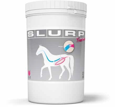 Slurp treatment 800 g