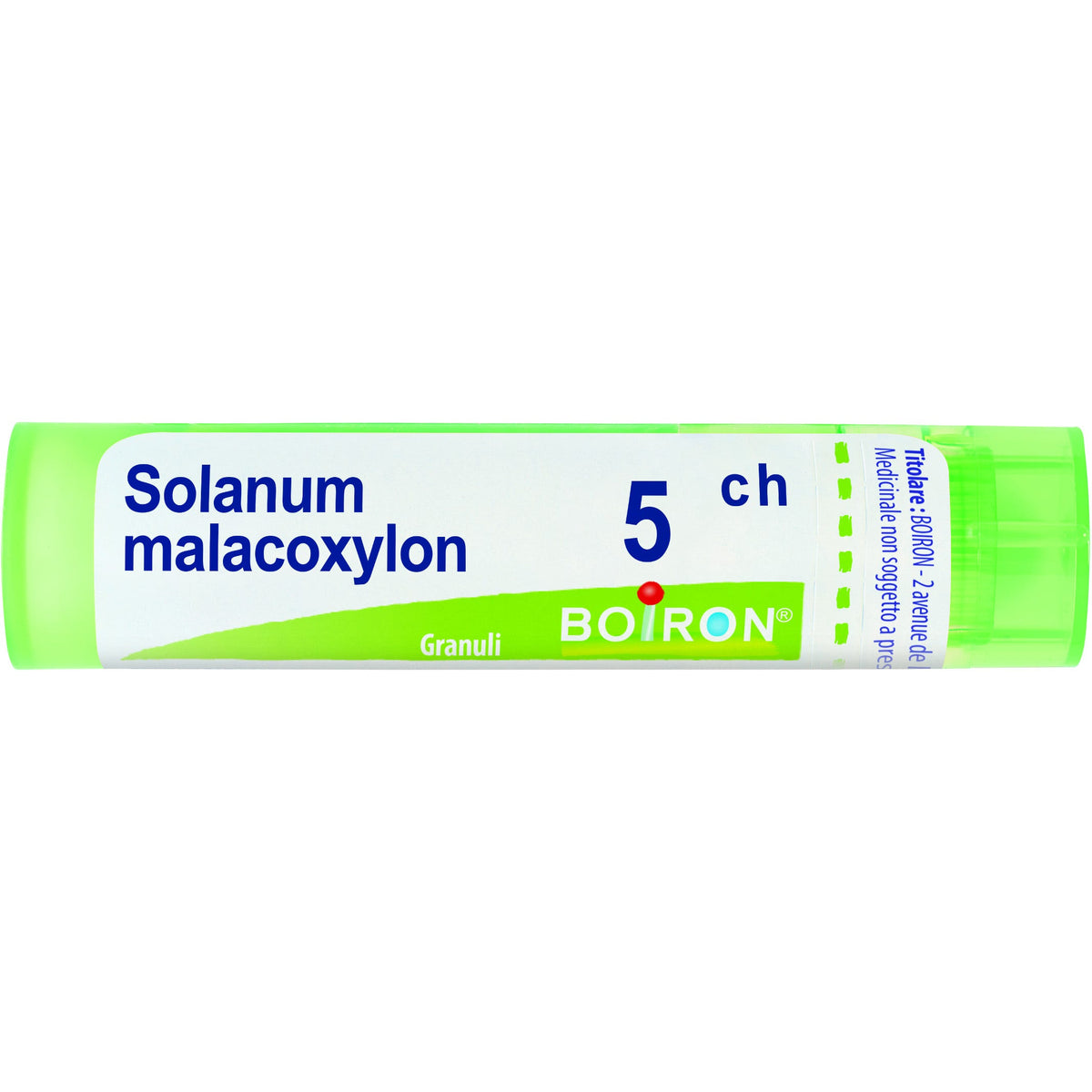 Solanum malacoxilon 5ch gr