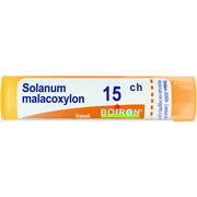 Solanum malacoxylon 15ch gr
