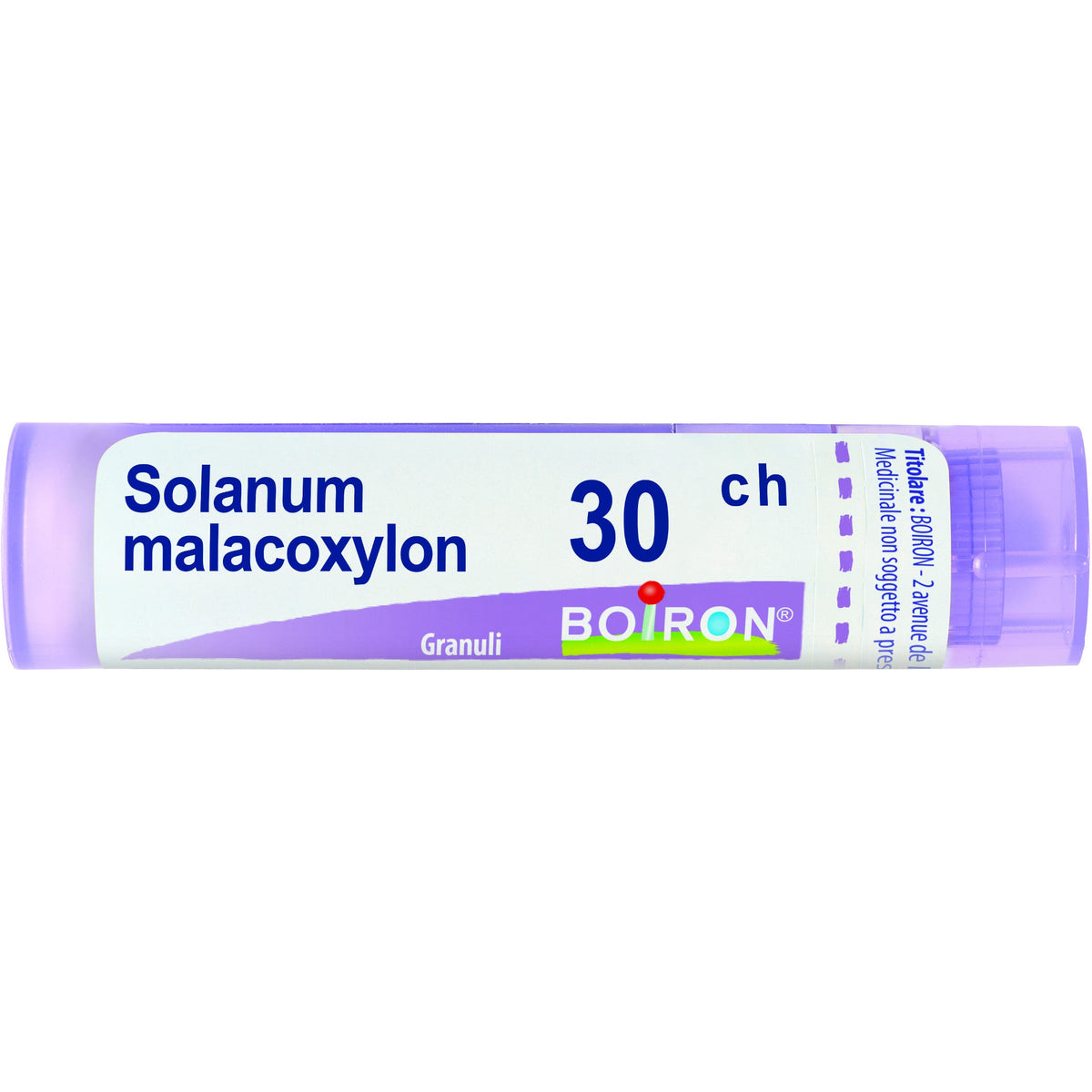 Solanum malacoxylon 30ch gr