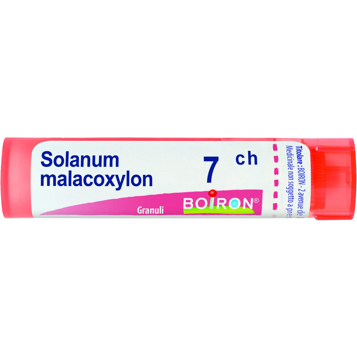 Solanum malacoxylon 7ch gr
