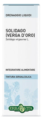 Solidago tintura ial 50ml ebv