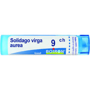 Solidago virga aurea 9ch gr