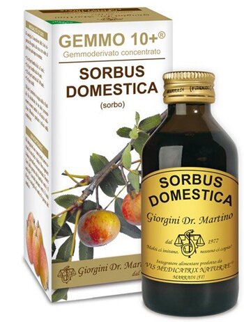 Sorbo analco gemmo 10+ 100 ml