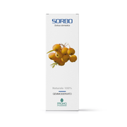 Sorbo gemmoderivato 50ml