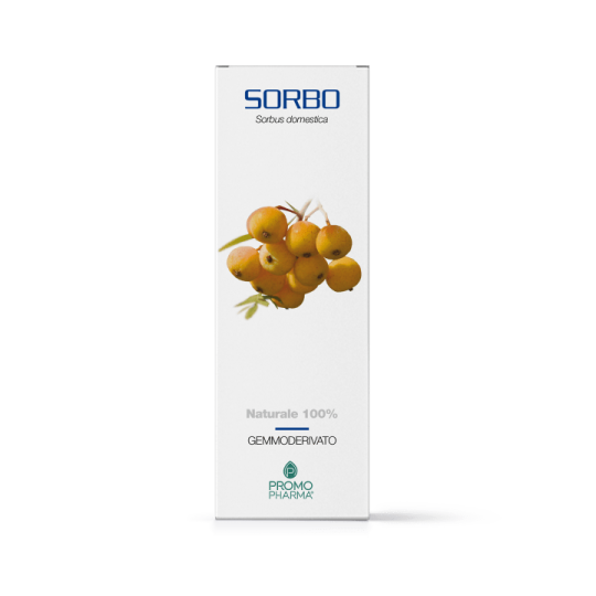 Sorbo gemmoderivato 50ml