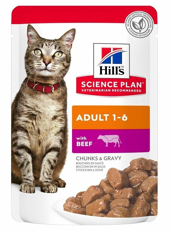 Special feline adult beef 85g