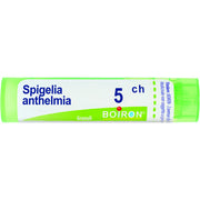 Spigelia anth boi 5ch 80gr 4g