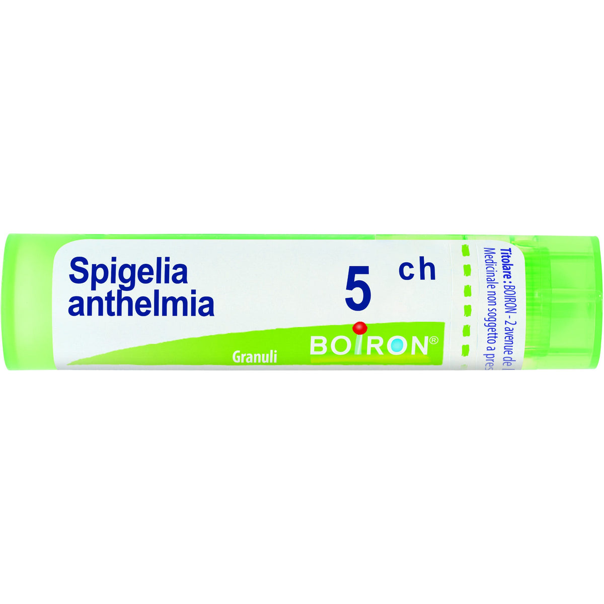 Spigelia anth boi 5ch 80gr 4g