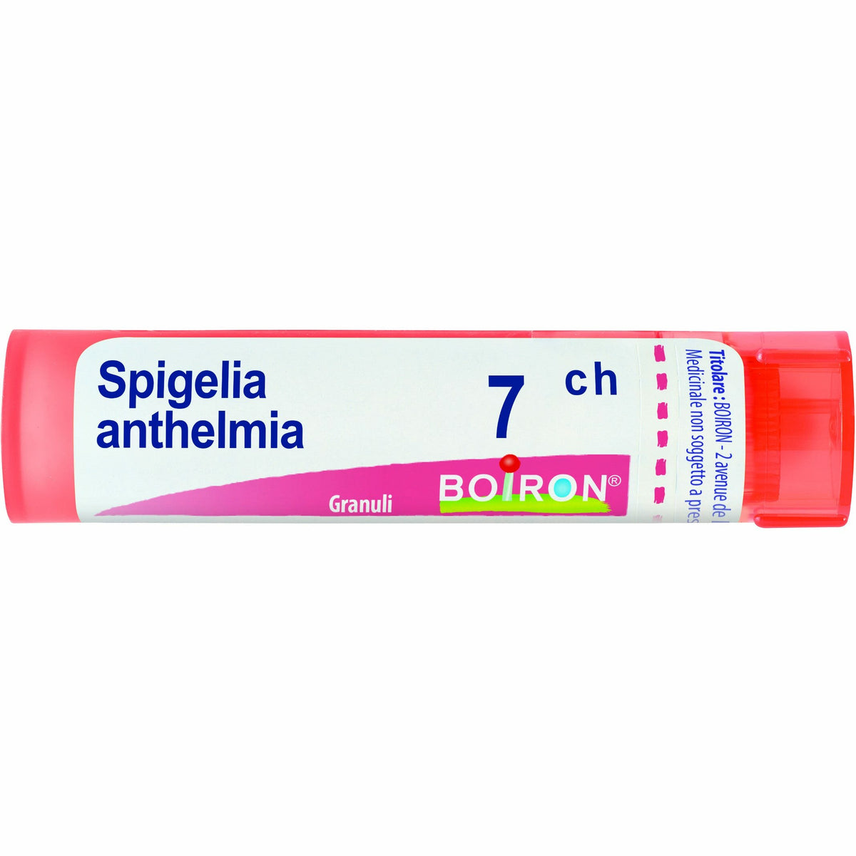 Spigelia anthelmia 7ch 80gr 4g