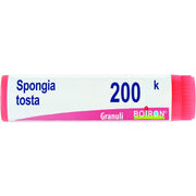 Spongia tost 200k gl