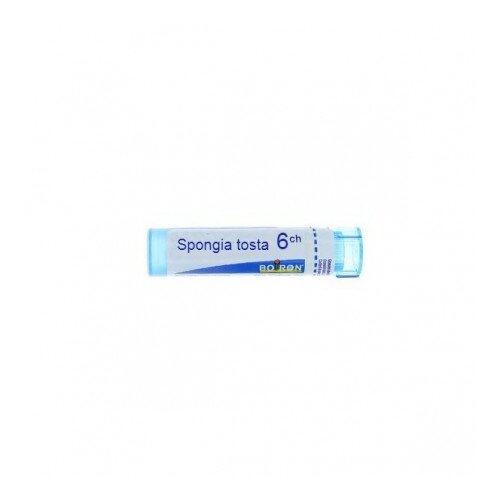 Spongia tosta 6ch granuli